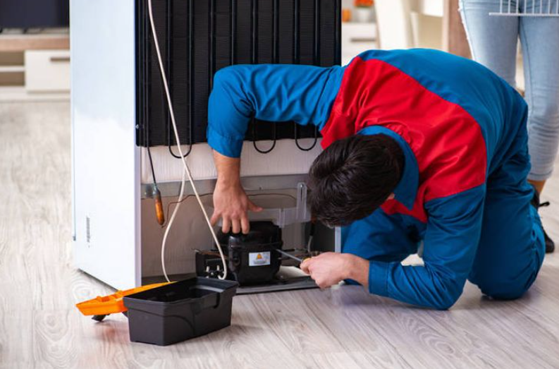 Khi Nào Cần Thay Lốc Tủ Lạnh Hitachi? Dấu Hiệu Nhận Biết Và Quy Trình Sửa Chữa Chuyên Nghiệp